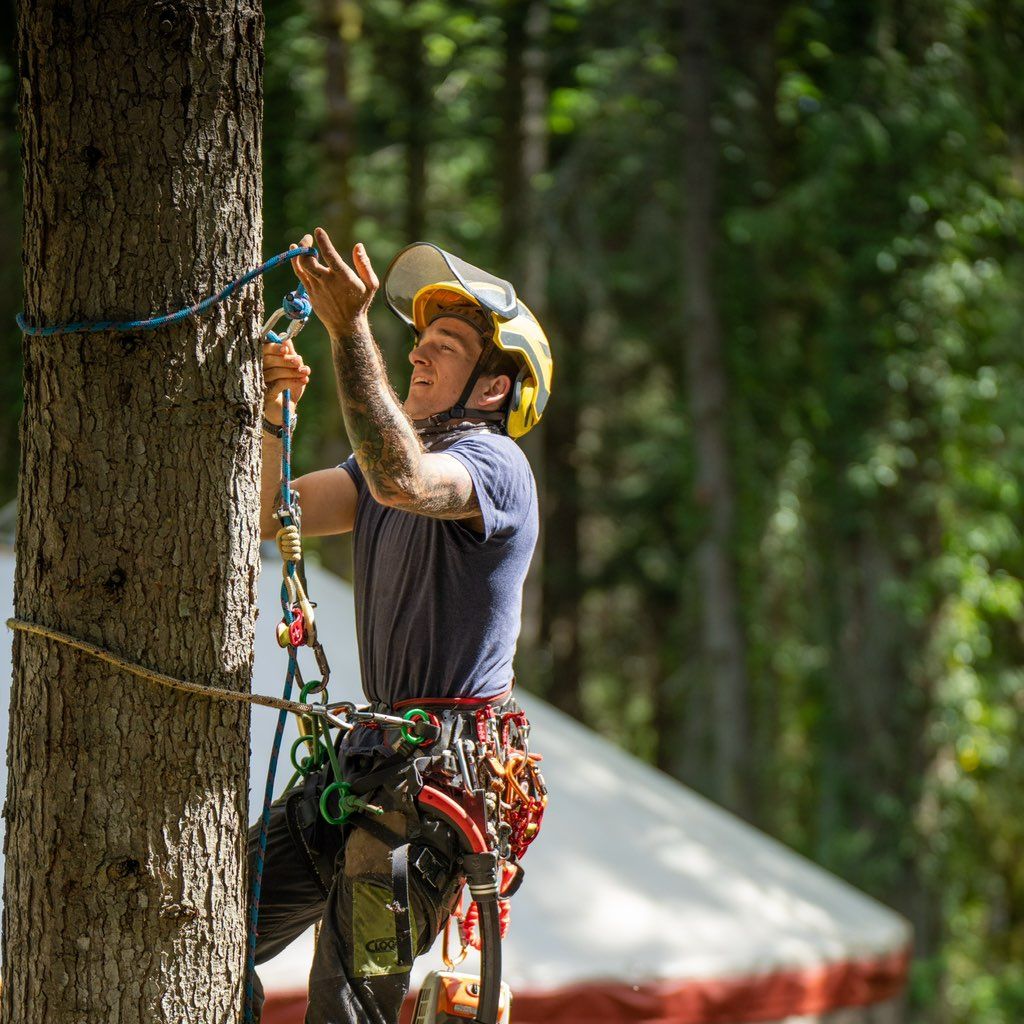 Pine and Ponder Tree Service LLC