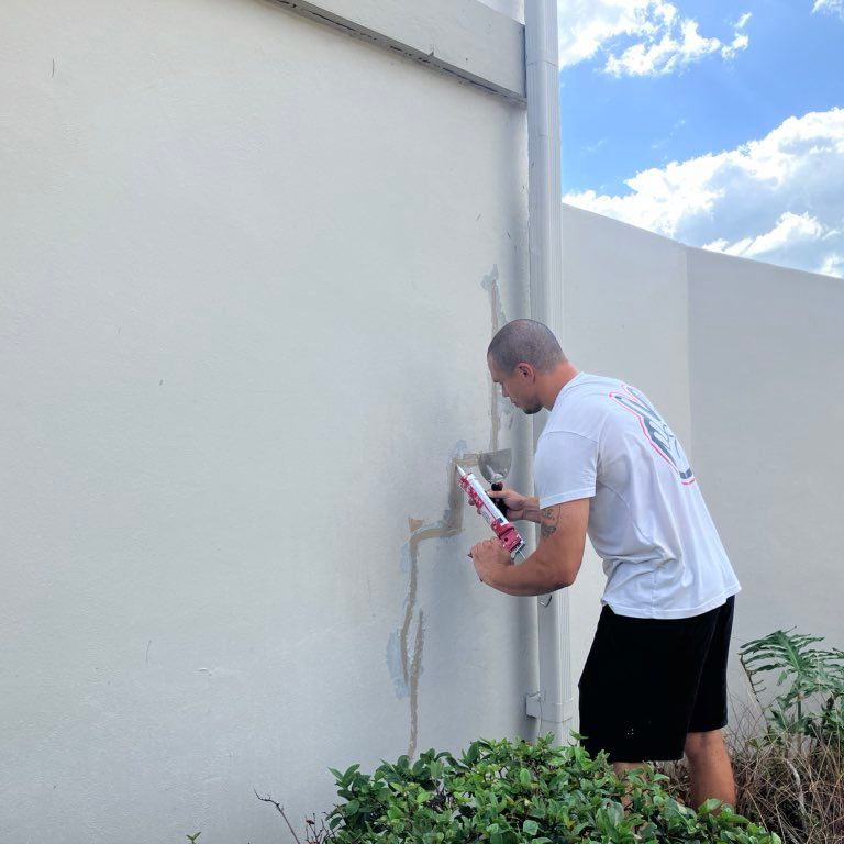 The Prolific Painting Company