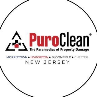 Avatar for PuroClean Morristown