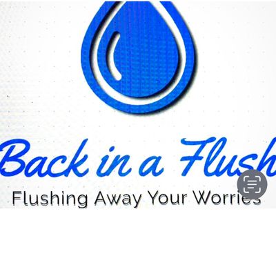 Avatar for Back In a Flush Anaheim Plumbing