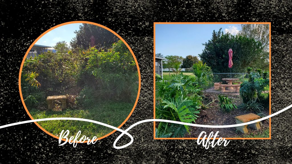 Shrub Trimming and Removal