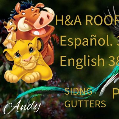 Avatar for H&A ROOFING CONTRACTOR LLC