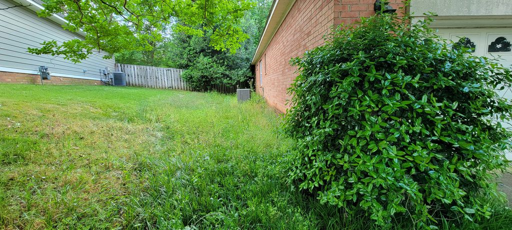 Grass needed cut, trees beside fence needing some 