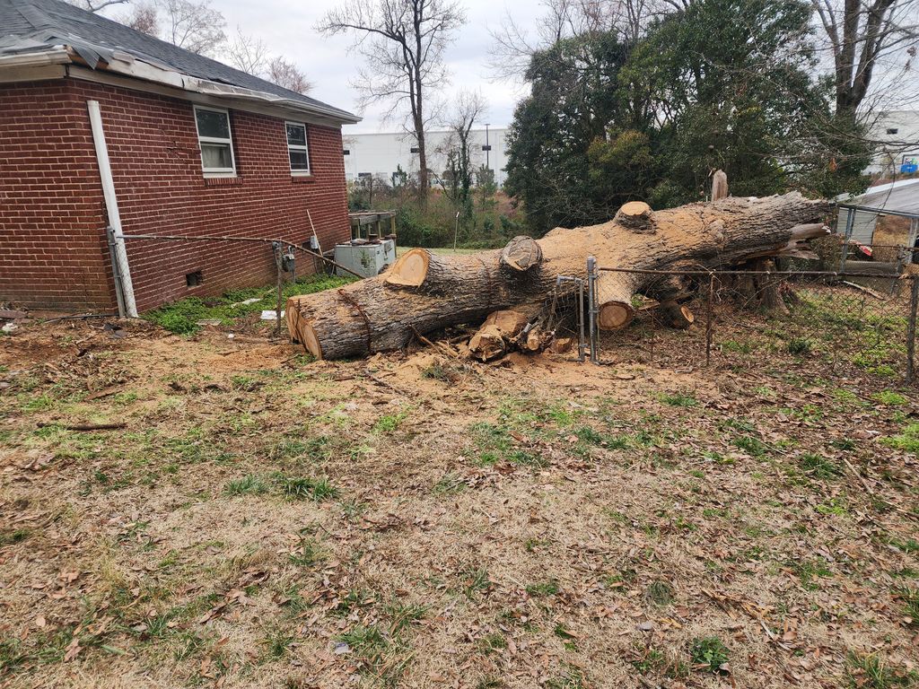 Tree Trimming and Removal