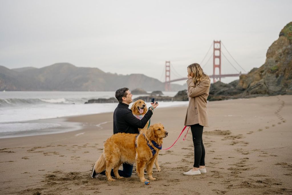 Engagement Photography