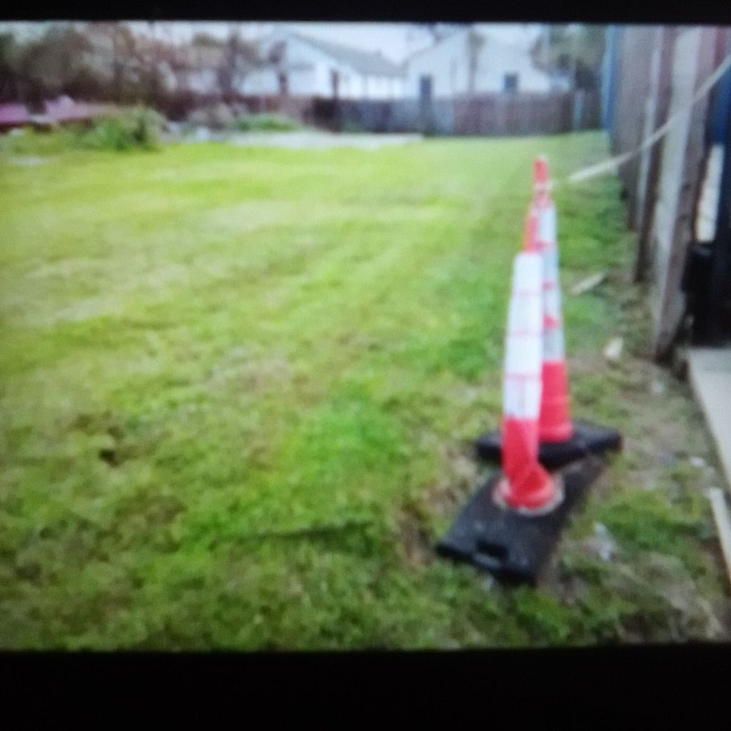 landscaping and junk removal