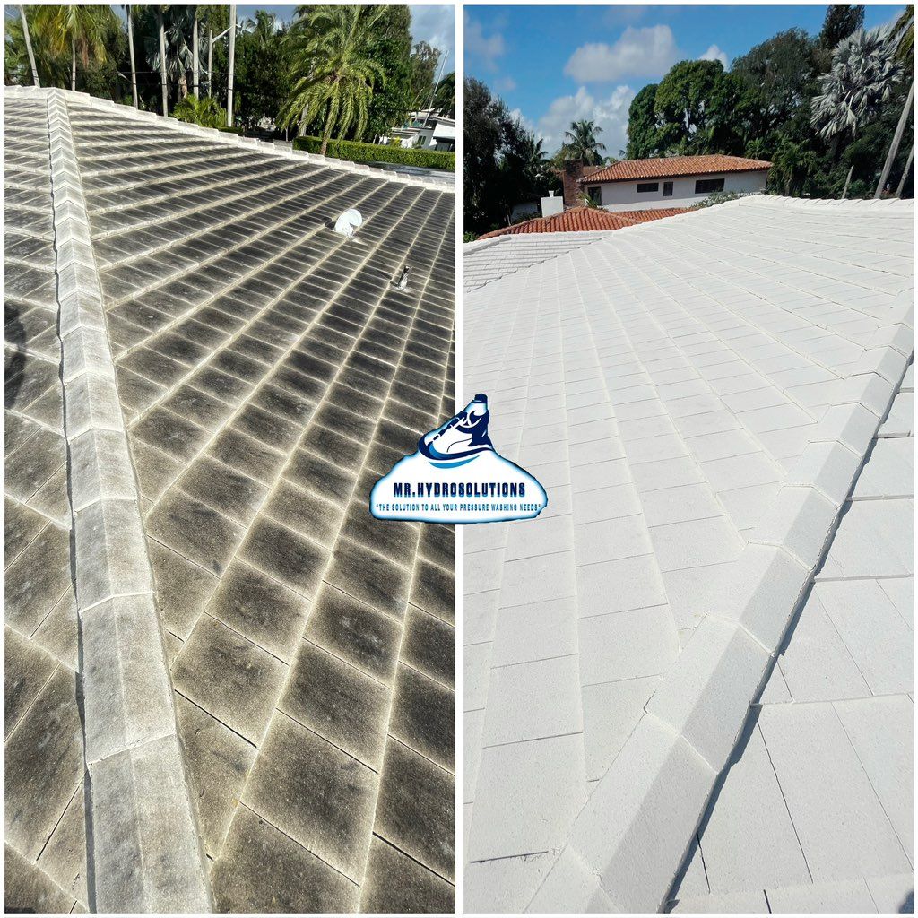 Tile Roof Cleaning🧼💦🔥