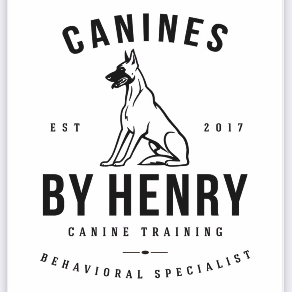 Canines By Henry