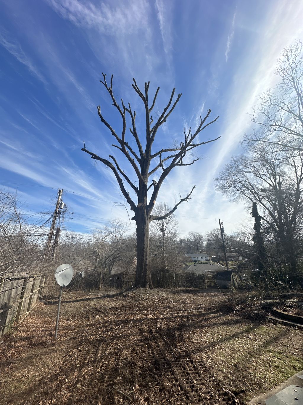 we do tree topping 