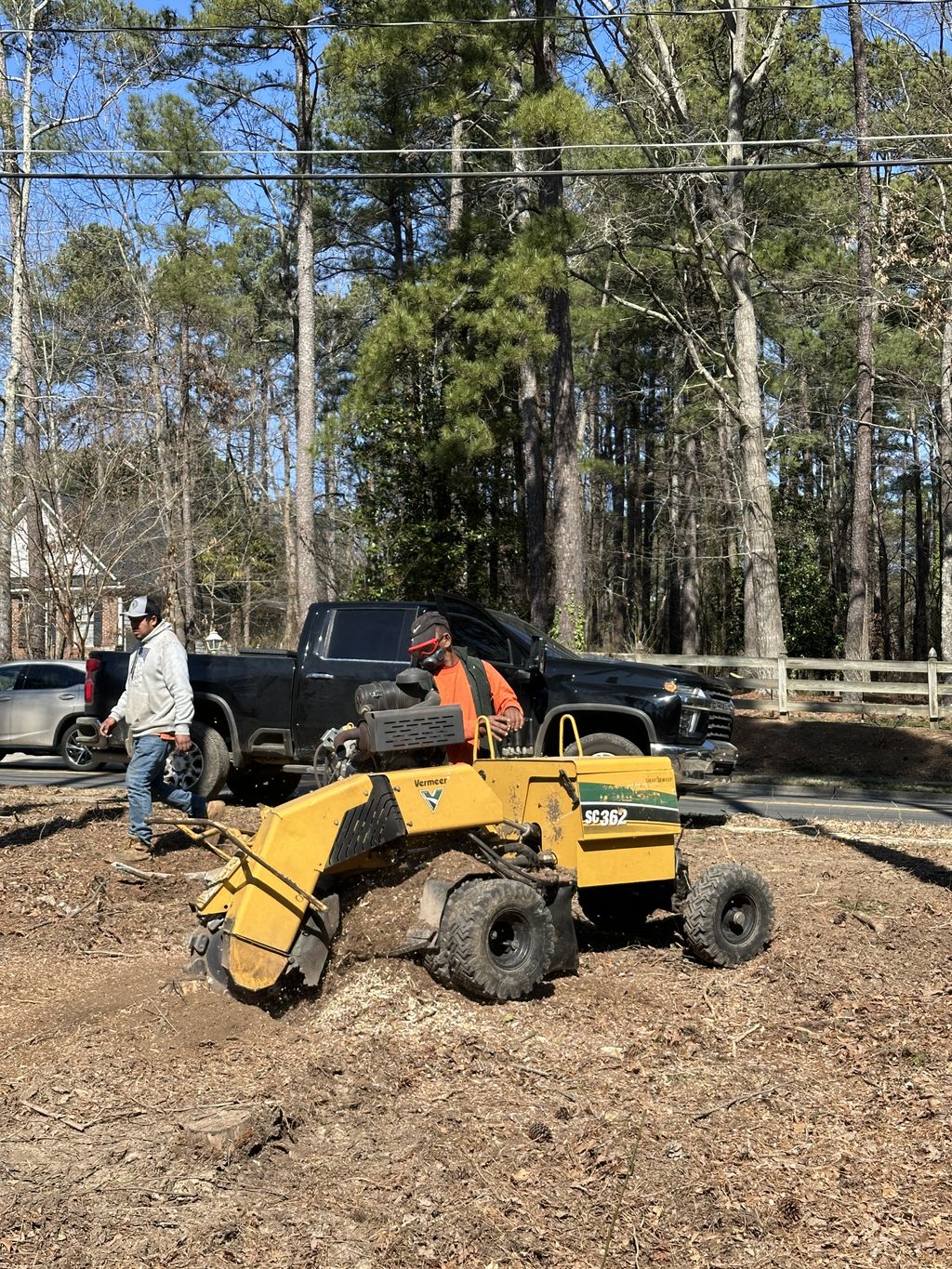 we do stump removal 