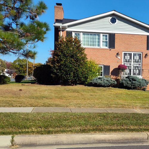 independent handyman pro