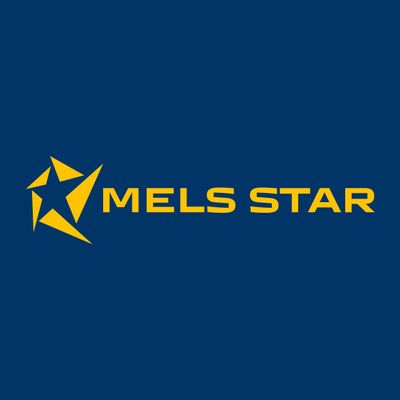 Avatar for Mels star llc remodeling