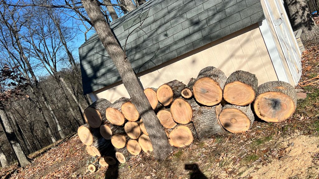 Tree Trimming and Removal