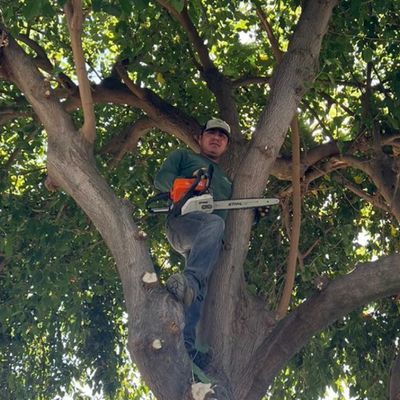 Avatar for 4 Ever Green Landscaping