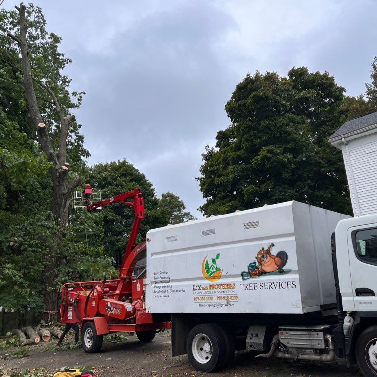 López Brothers tree services &construction