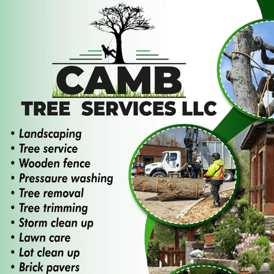 Avatar for CAMB TREE SERVICE