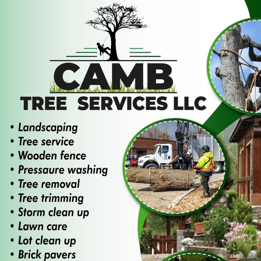 CAMB TREE SERVICE