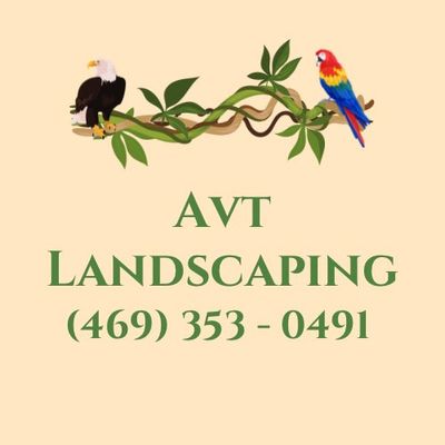 Avatar for AVT Multiple Service llc