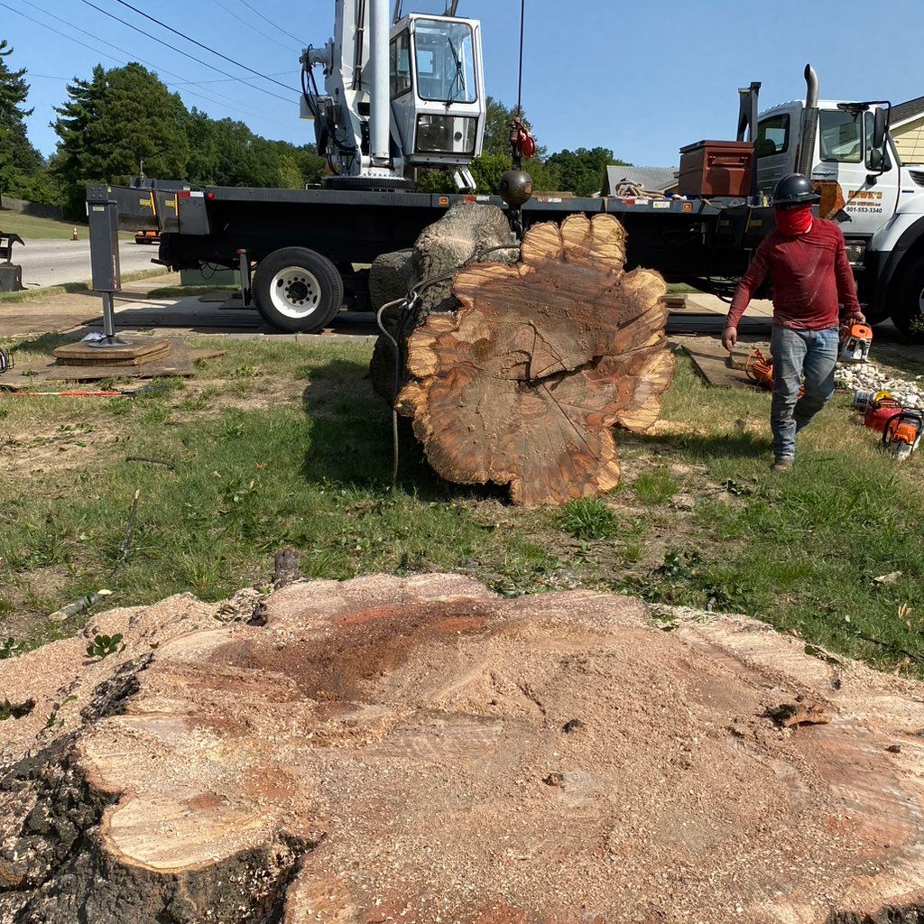 Ortiz Tree Service