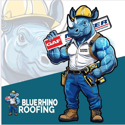 Avatar for BLUE RHINO ROOFING