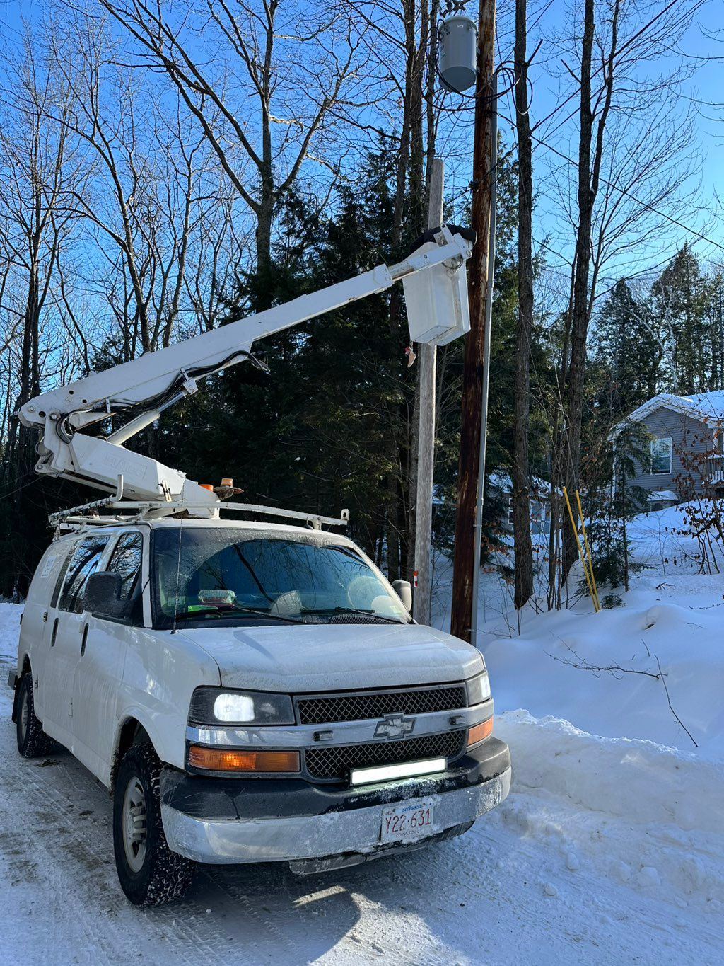 Tree cutting fully insured and licensed 