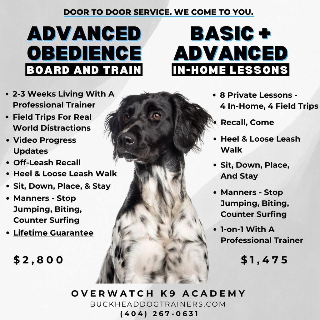 Dog Training