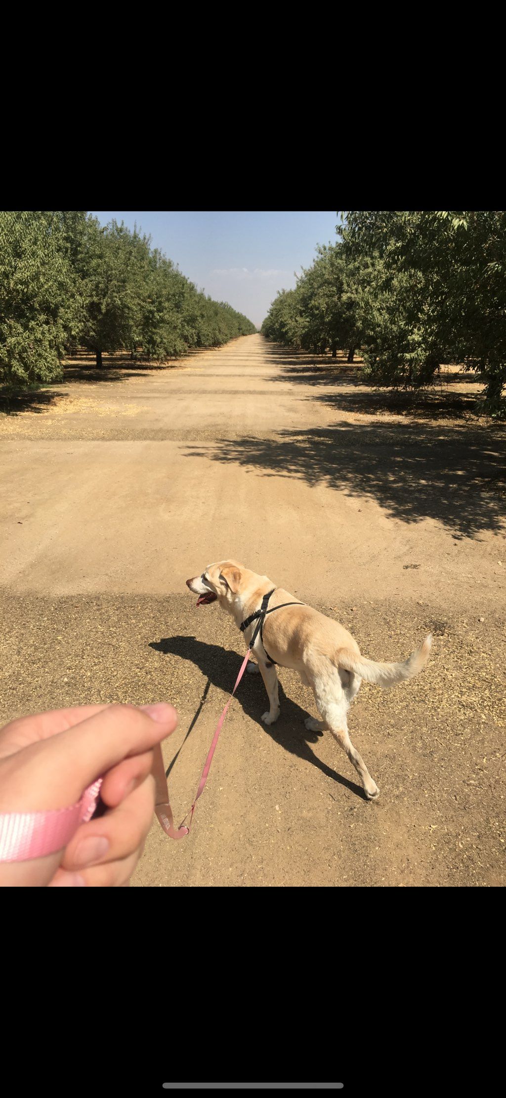 On a nice walk on a beautiful day!