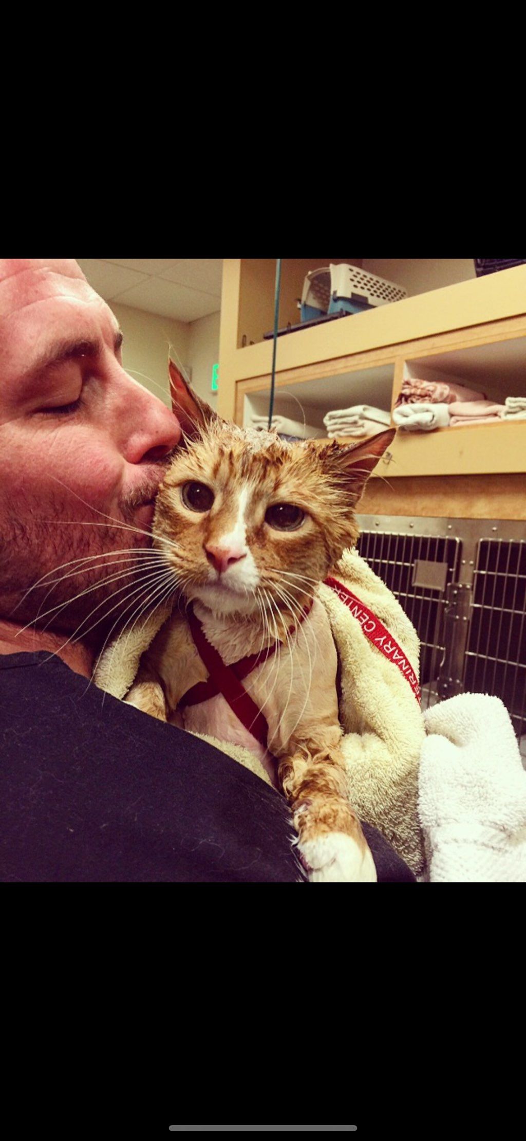 Providing care for a cat after his bath!