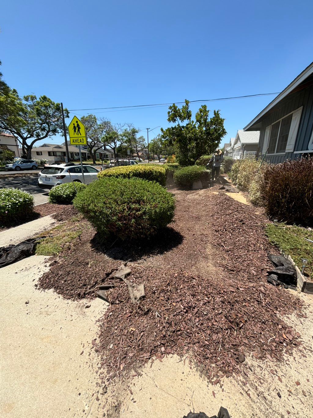 Mulch removal.