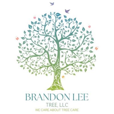 Avatar for Brandon Lee Tree, LLC