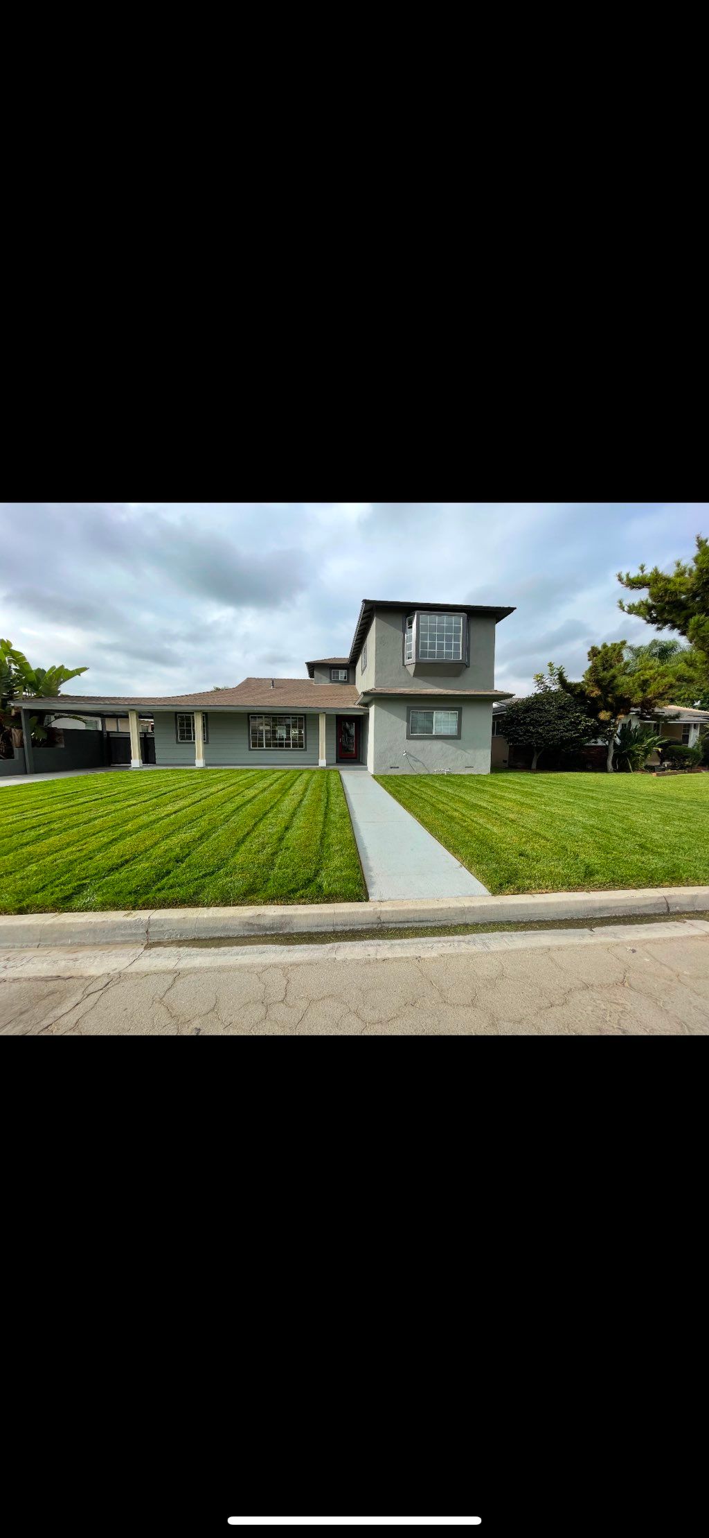 Full yard service. Sod was installed by our team 2