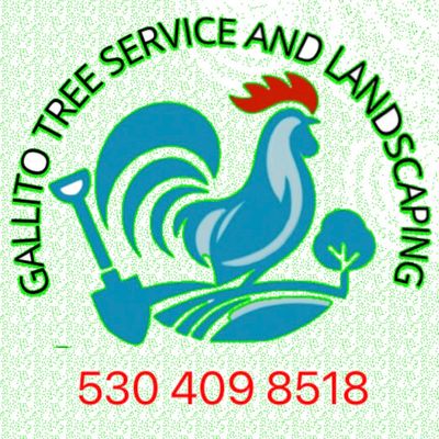 Avatar for Gallito Tree Service and Landscaping