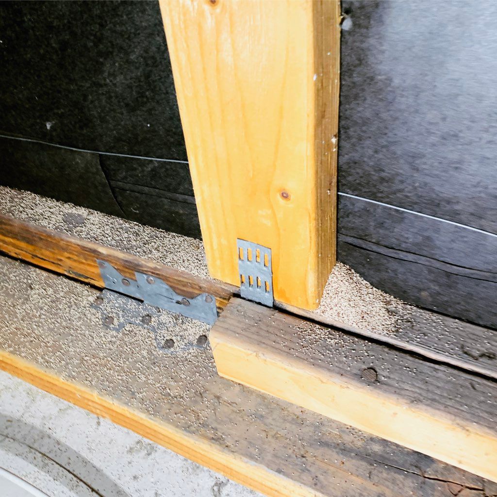 Drywood termite pellets 