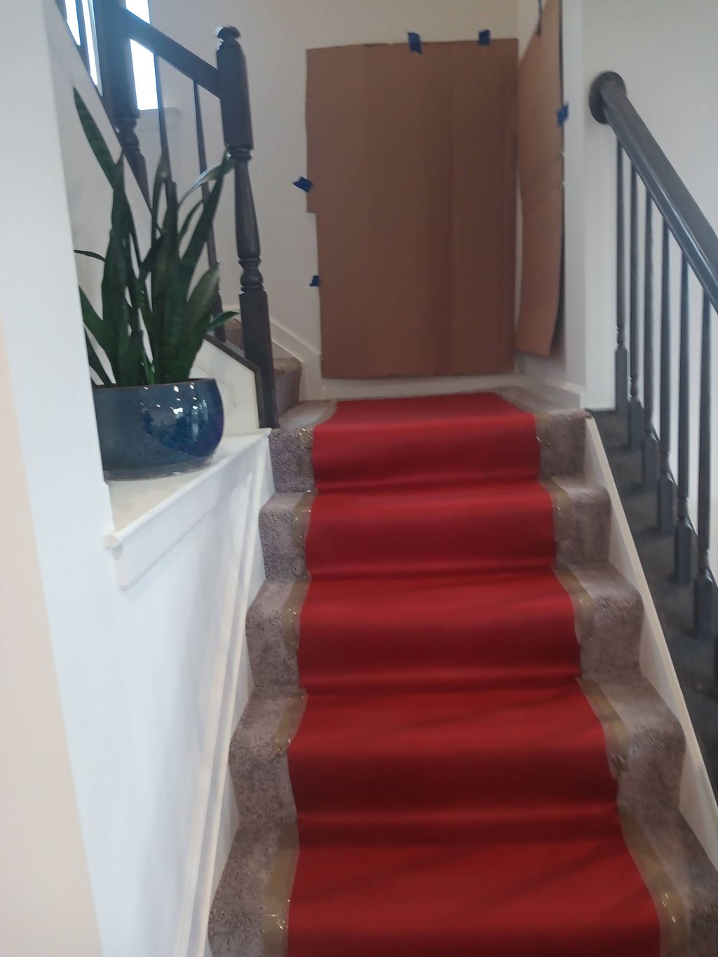 carpet and wall protection 