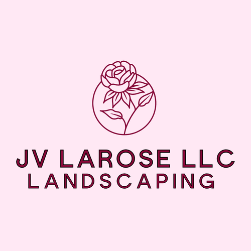 JV LAROSE LLC