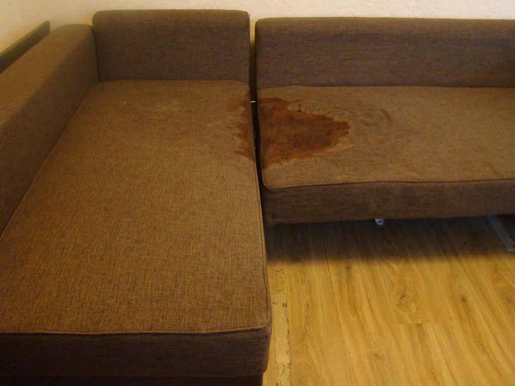 Upholstery and Furniture Cleaning