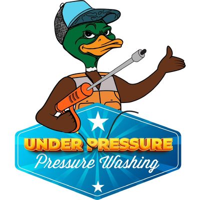 Avatar for Under Pressure Pressure Washing