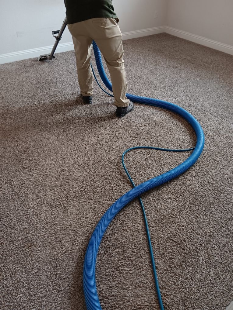 Move-out carpet cleaning in a home in Aubrey,  Tx 