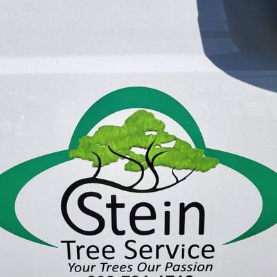 Avatar for Stein Tree Service