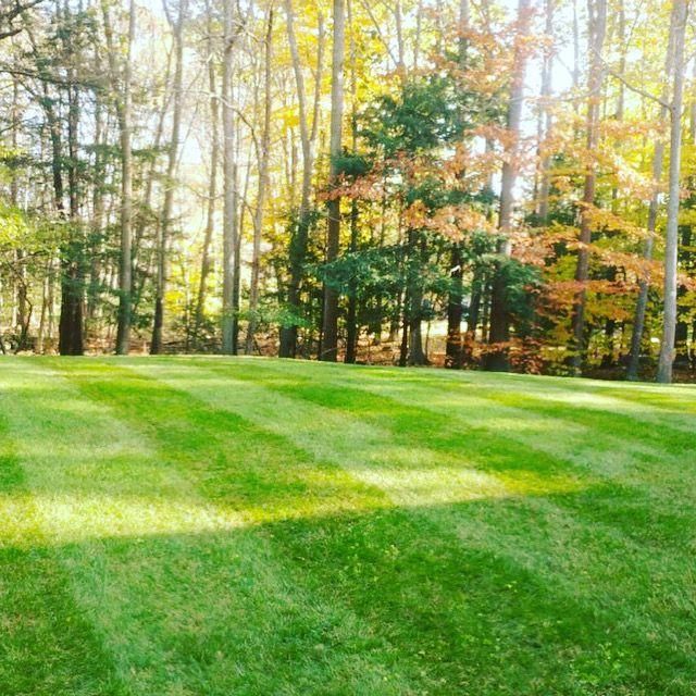 A Stone's Throw Landscaping