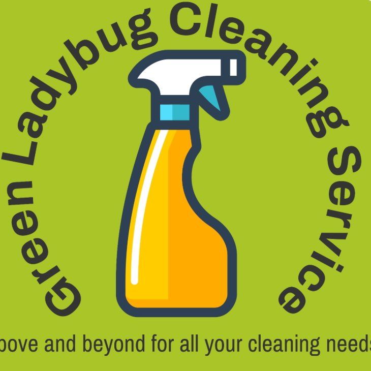 Green Ladybug Cleaning Service