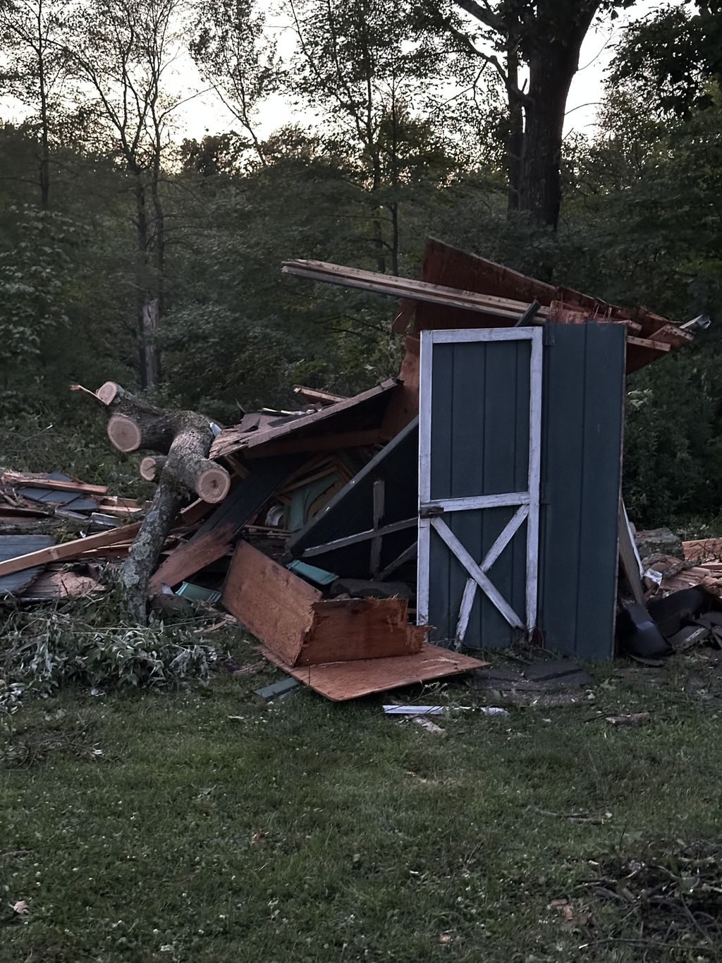 Shed Damaged By Tree