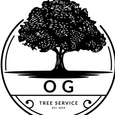 Avatar for OG landscaping & tree trimming inc