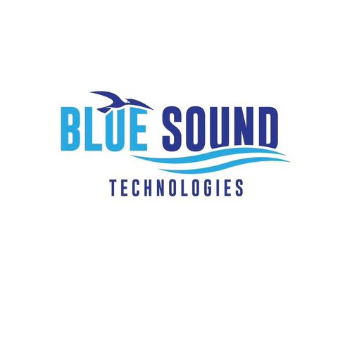 Blue Sound technologies