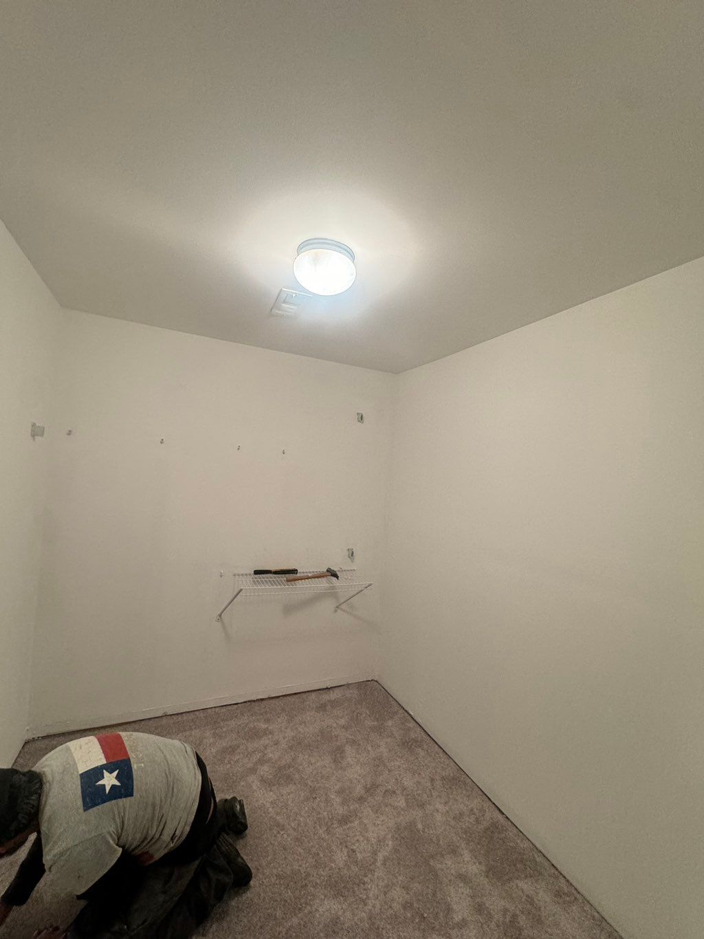 Drywall, paint, carpet 
