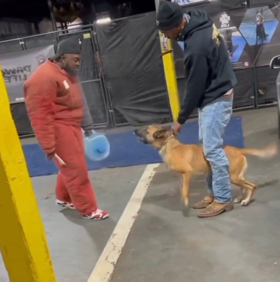 Beta to Alpha K9 Training LLC