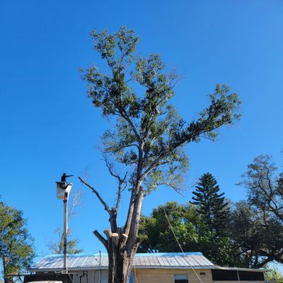 Avatar for JLSTREE&HOMECARE