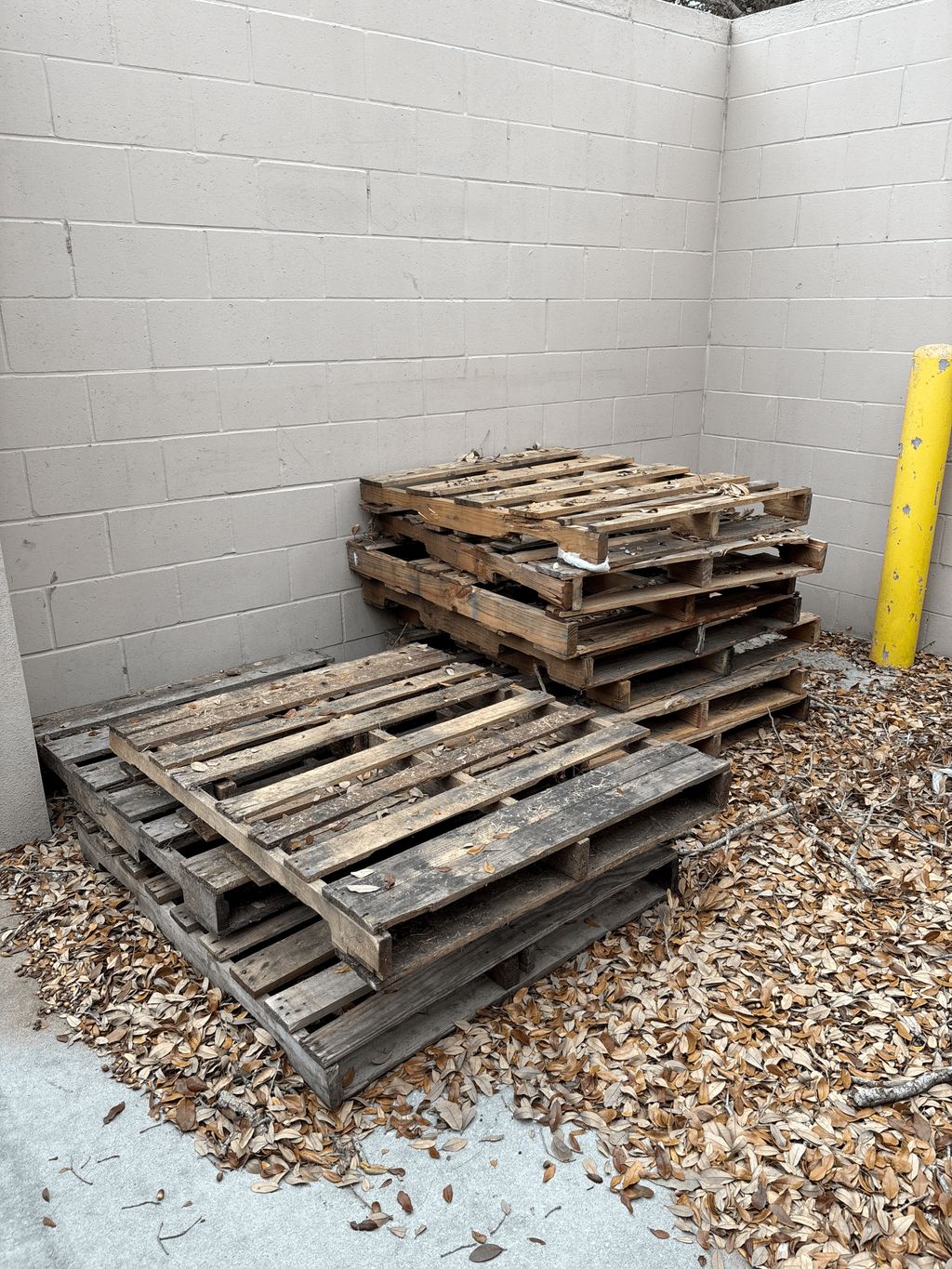 Pallet Removal in Brandon, FL