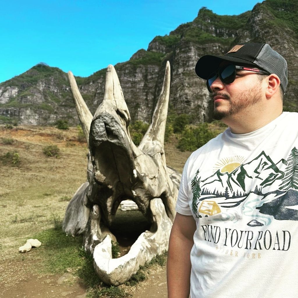 pro avatar