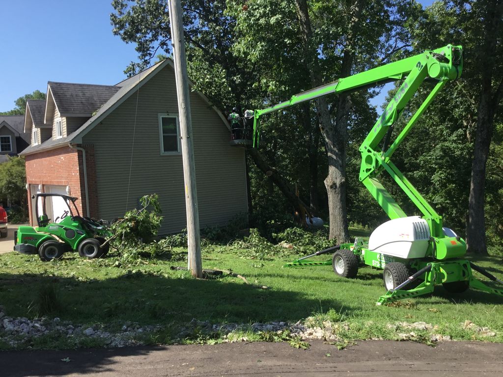 Tree Trimming and Removal